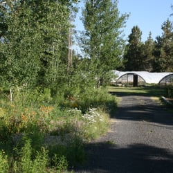 Winter Creek Restoration Nurseries Gardening 63405 Deschutes Photo Of Winter Creek Restoration Bend Or United States Wintercreek Nursery