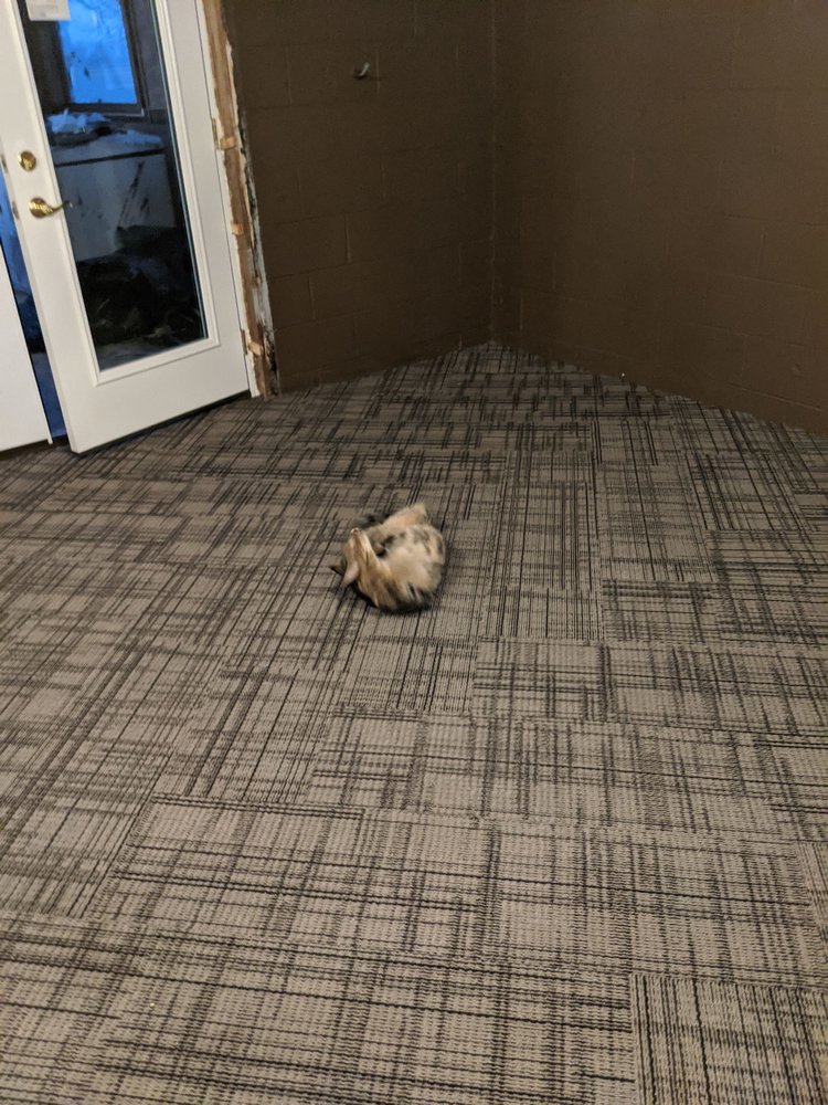 image of business Perfect Finish Flooring