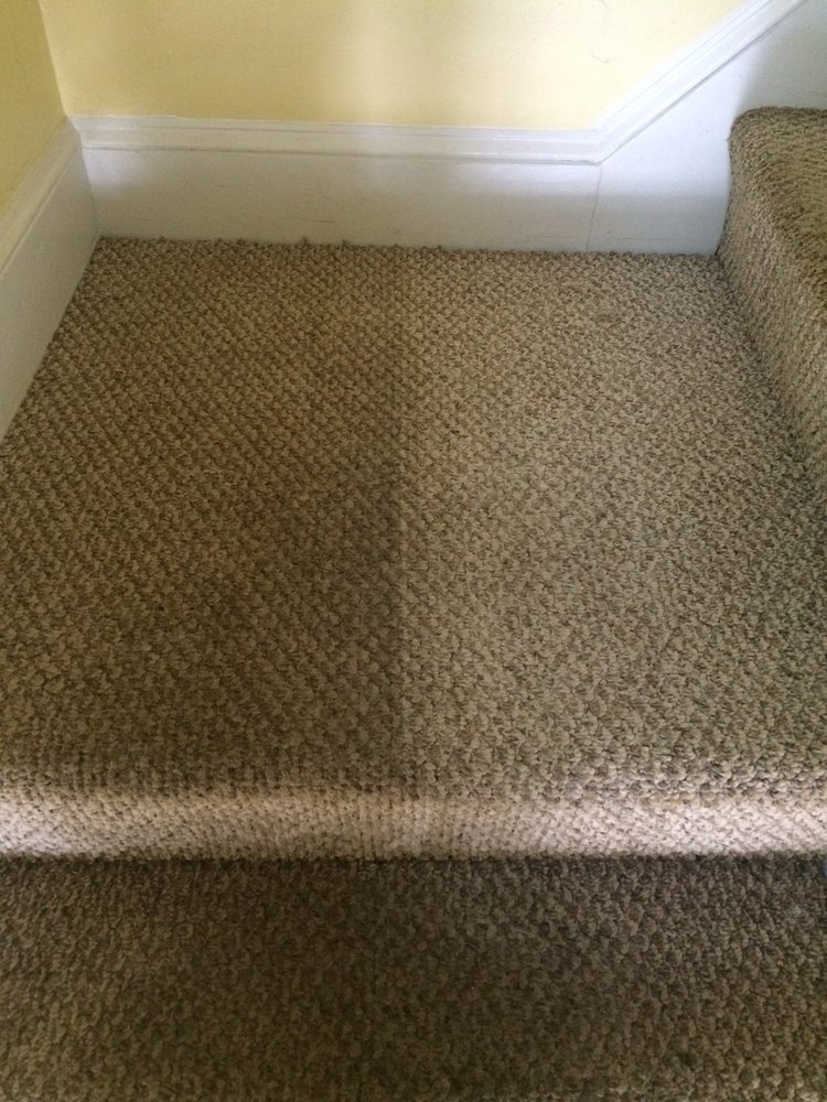 image of business Magic Carpet Cleaning & Restoration