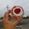 El Dorado Bakery