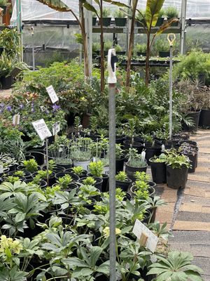 【OK plant】 Happy Plants, 10413 N May Ave, Oklahoma City, OK 73120, US