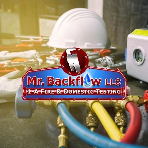 image of business Mr Backflow