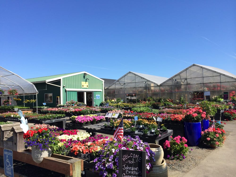 Johnson Brothers Nurseries Gardening 91444 Coburg Rd Eugene Photo Of Johnson Brothers Eugene Or United States Greenhouses Plant