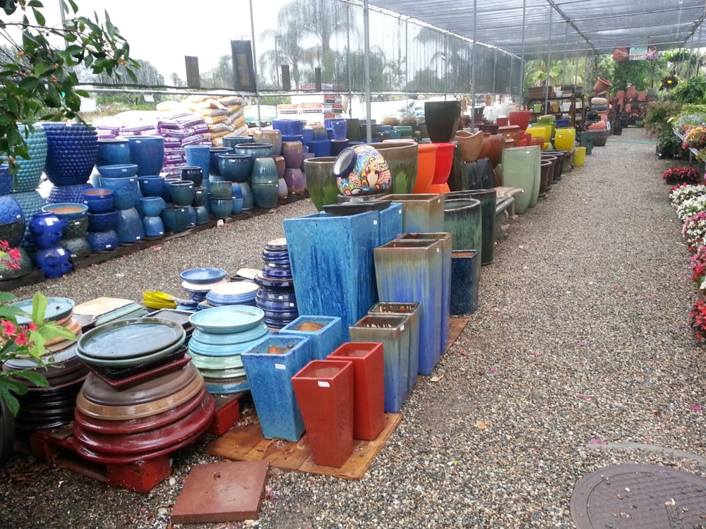 Photos for Louie's Nursery - Yelp