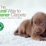 Chem Dry Of Okc Edmond 10 Photos Carpet Cleaning 607 Evergreen Photo Of Chem Dry Okc Edmond Ok United States