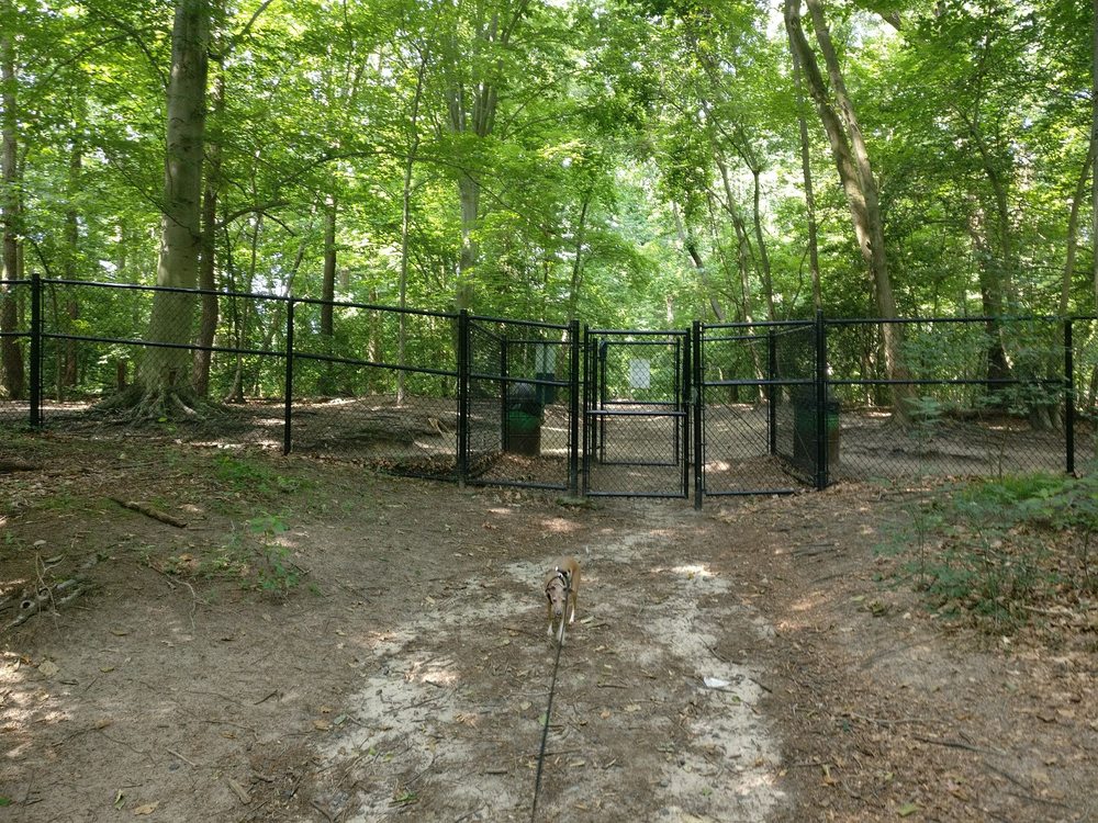 timber creek dog park timber creek dog park
