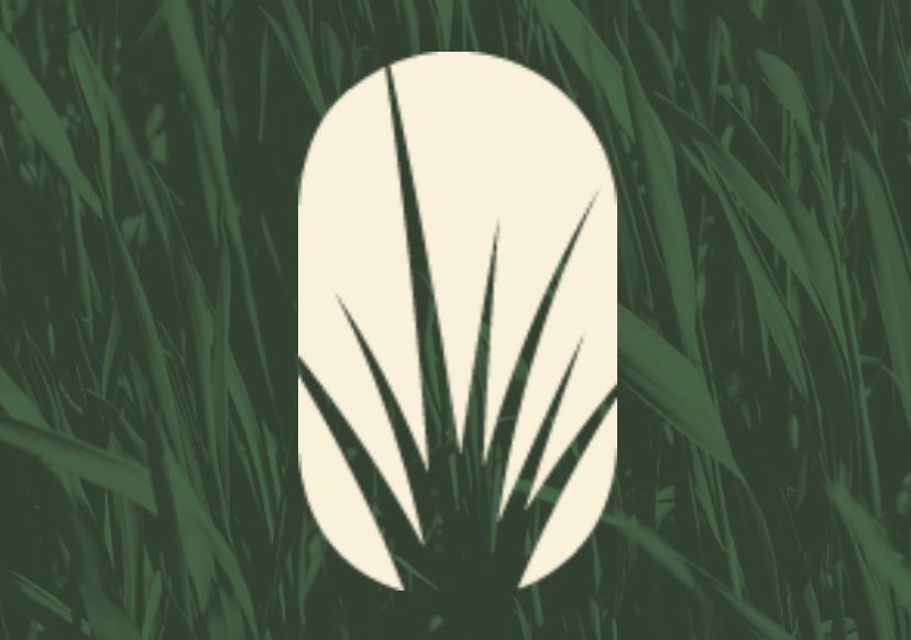 Cisco’s Lawncare & Landscaping