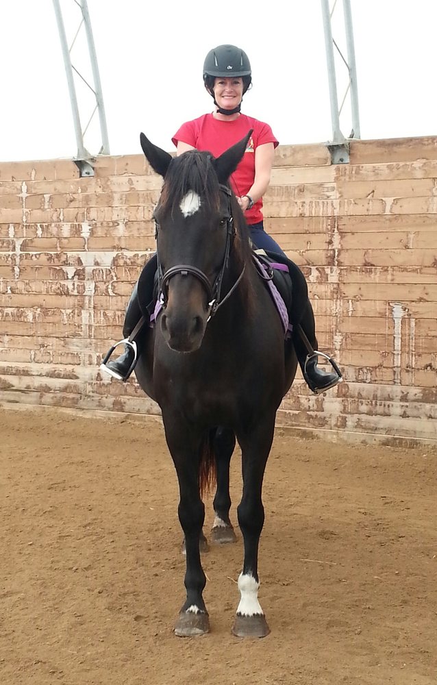 Equestrian Arts