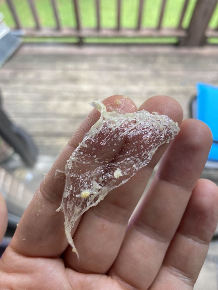 Peking Chinese Restaurant