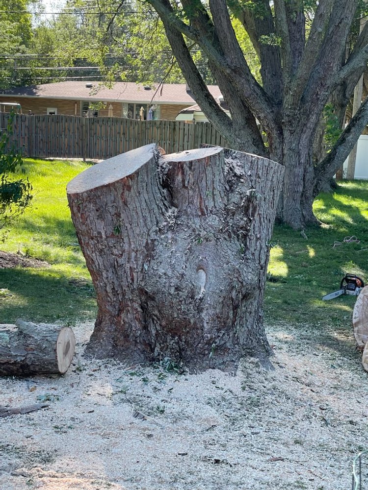 Schneck's Tree Removal
