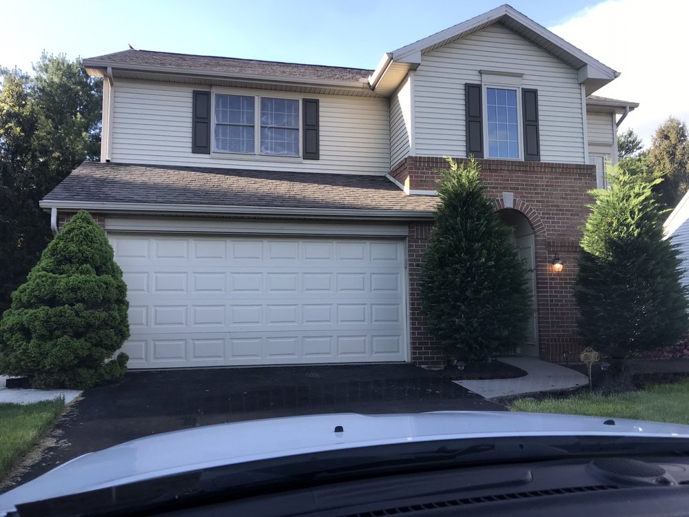 Ritchie's Tree Service