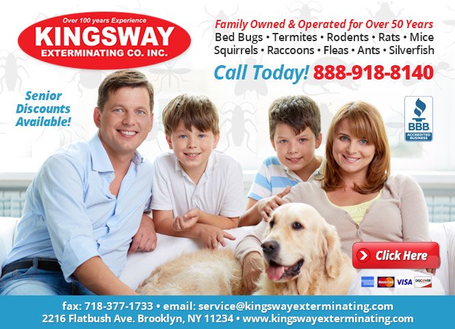 Kingsway Exterminating