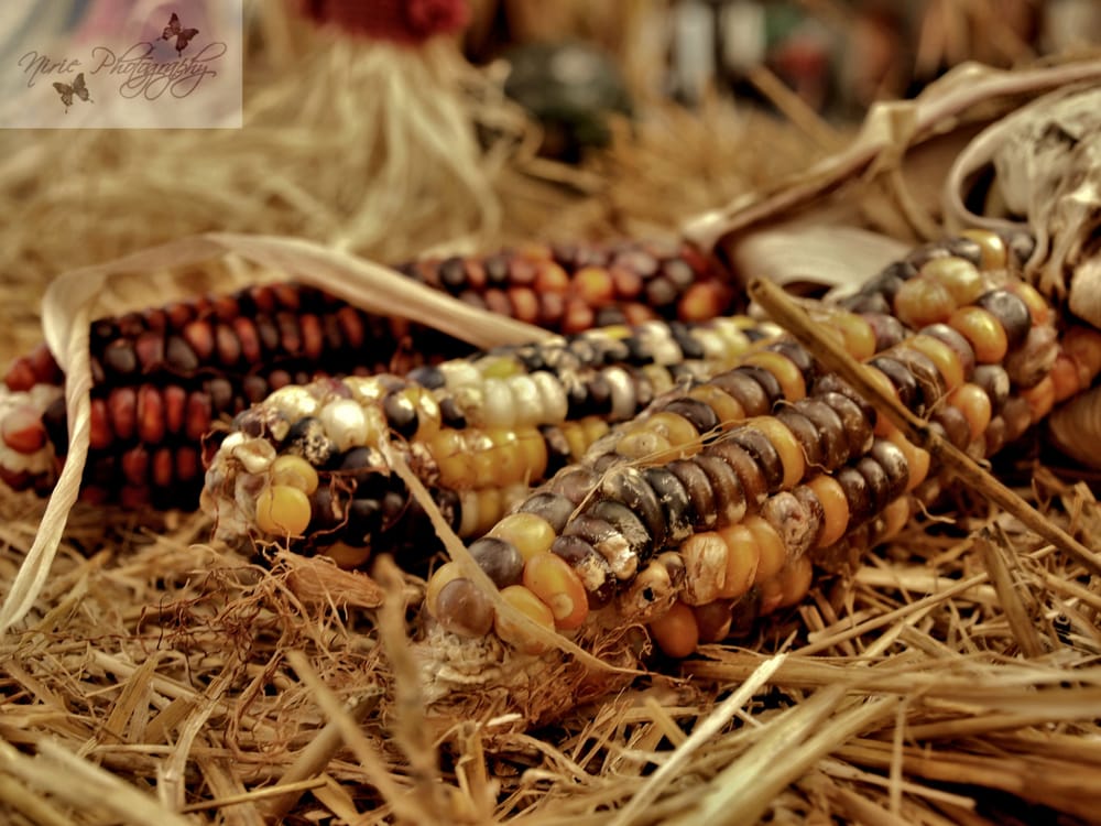 Ken's Produce & Garden Center