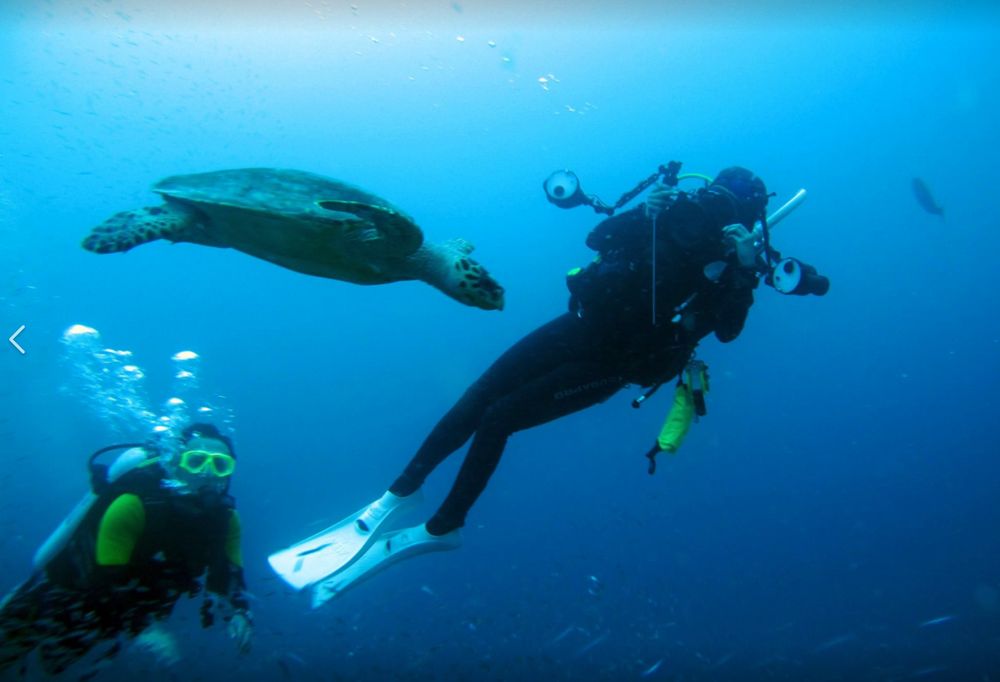 Big Blue Scuba