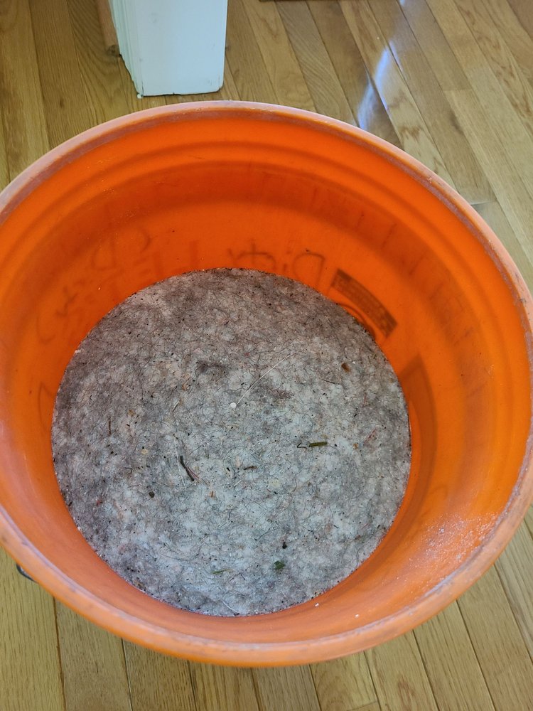 Total Care Carpet Cleaning