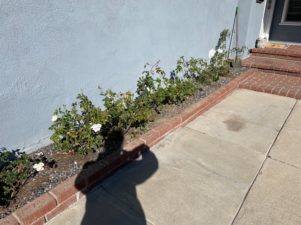 Cruz Tree Service & Landscaping