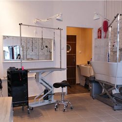 Malowany Pies Pet Groomers Al Jana Pawła Ii 68 Muranów Warsaw