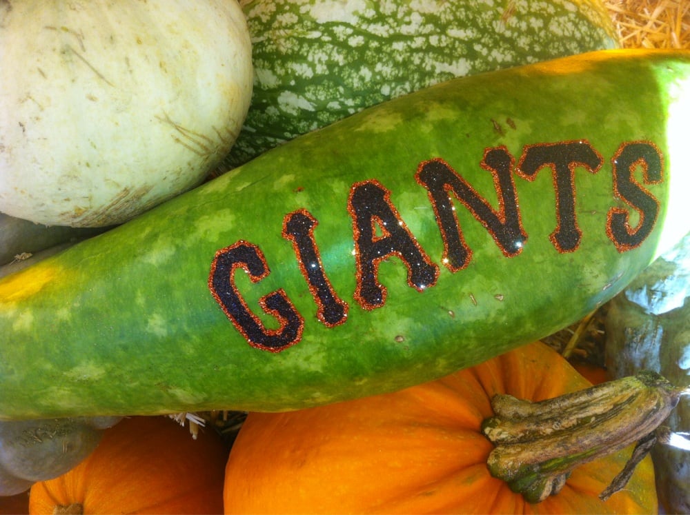 friendly pumpkin patch near me piedmont avenue pumpkin patch 15 photos 15 reviews friendly pumpkin patch near me piedmont avenue pumpkin patch 15 photos 15 reviews