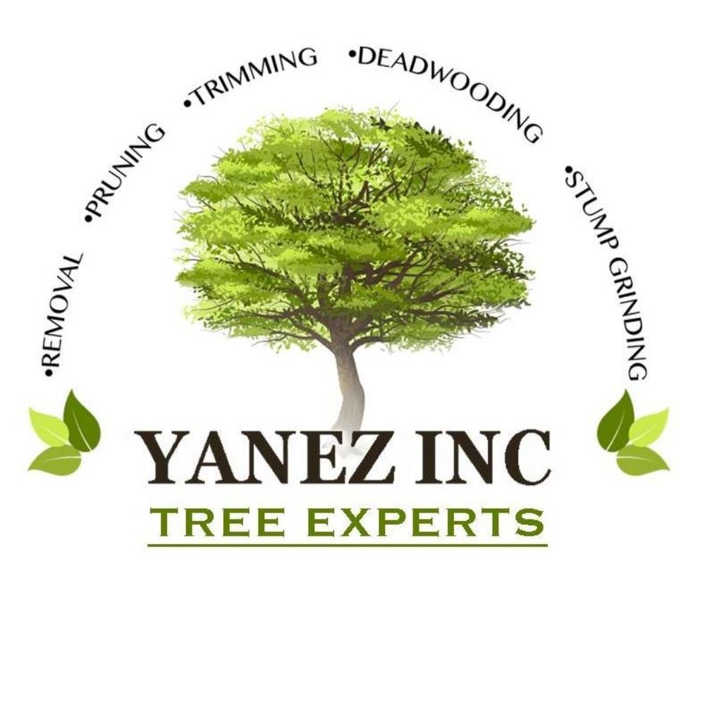 Yanez Tree Service Experts