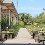Treeland Nurseries 17 Photos 27 Reviews Gardening Photo Of Treeland Nurseries Mesa Az United States