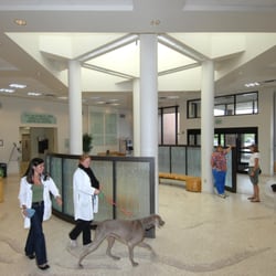 Wsu Vet School >> Wsu Veterinary Teaching Hospital 25 Reviews Wsu Vet School >> Wsu Veterinary Teaching Hospital 25 Reviews
