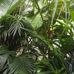 Greenhouse Nurseries Gardening 3600 Spring Garden St Photo Of Greenhouse Greensboro Nc United States You Don T