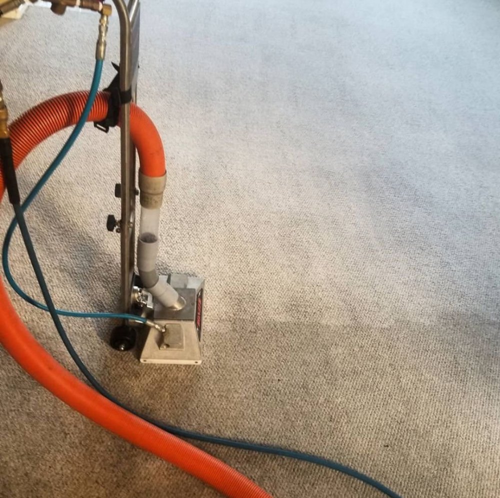 Stain Stalkers Carpet tile and Upholstery cleaning