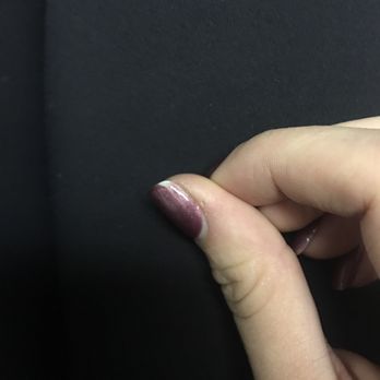 essay about portfolio dog bite