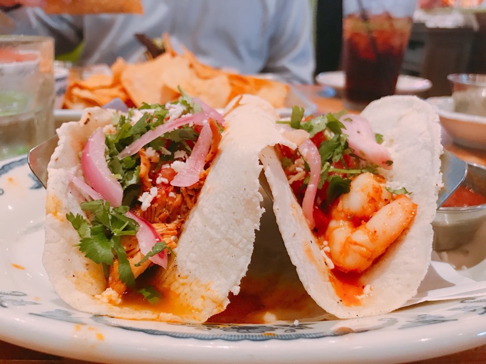 Rocco’s Tacos and Tequila Bar Tampa 268 Photos & 150 Reviews