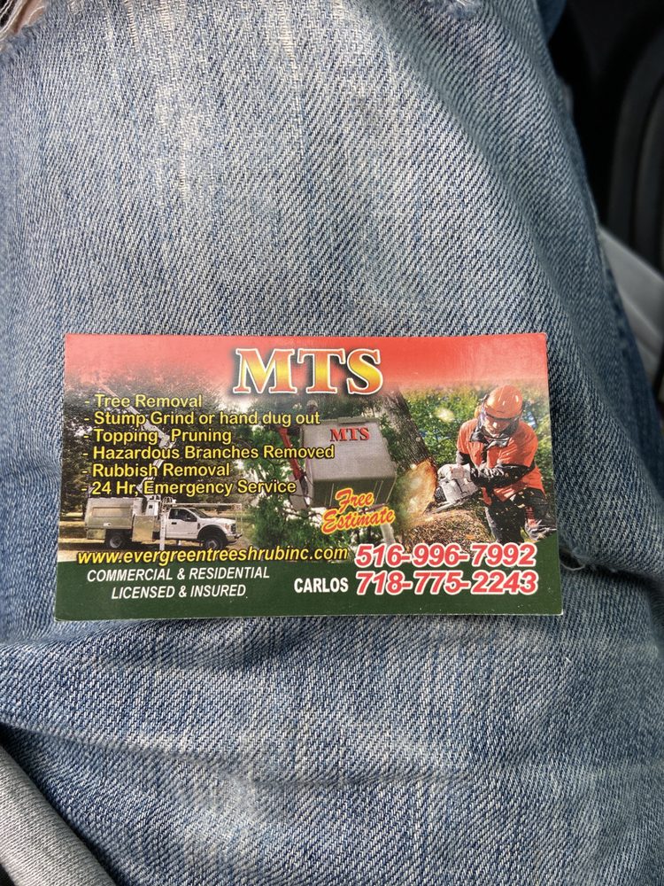 Metropolitan Tree Experts Corp