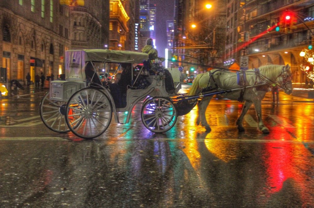 Horse Carriage Ride 18 Photos Tours 59TH St, New York, NY Phone