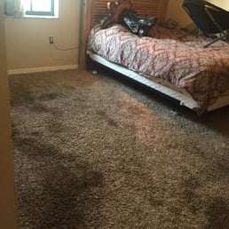 Photos For Ronnie S Carpets Yelp Photo Of Ronnie S Carpets Lakeland Fl United States