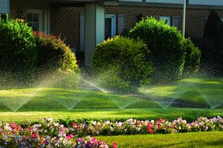 Irrigation & Lighting Specialist