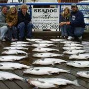 sea dog charters sea dog charters