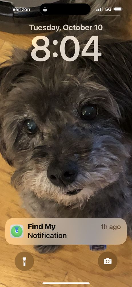 Pet Paradise Mobile Grooming