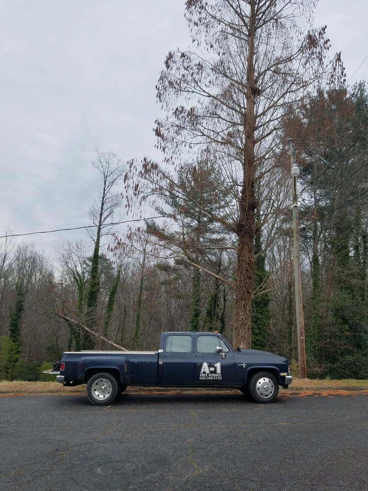 A-1 Tree Service