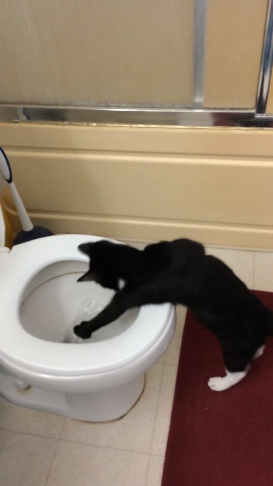 Clean Down To The Core Cleaning Service