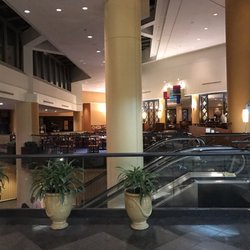 hilton hotel receipts