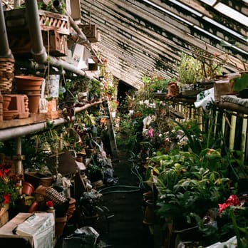 Brookville Nurseries Gardening 5300 Northern Blvd Photo Of Brookville Nurseries Glen Head Ny United States The Greenhouse
