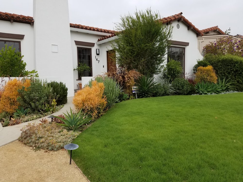 Mid Wilshire Front Buffalo Grass And Water Wise Garden Design By Photo Of First Image Landscape Design Los Angeles Ca United States