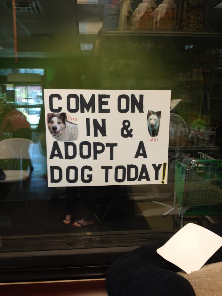 photos for zoo creatures pet store yelp photos for zoo creatures pet store yelp