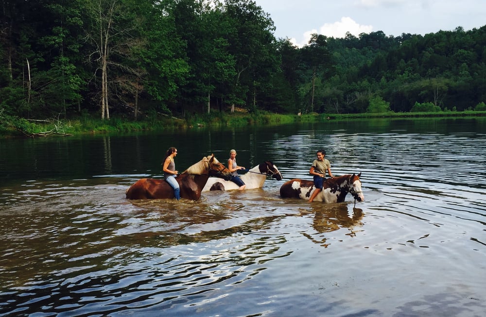 Cedar Creek Riding Stables 18 Photos & 10 Reviews Horseback Riding