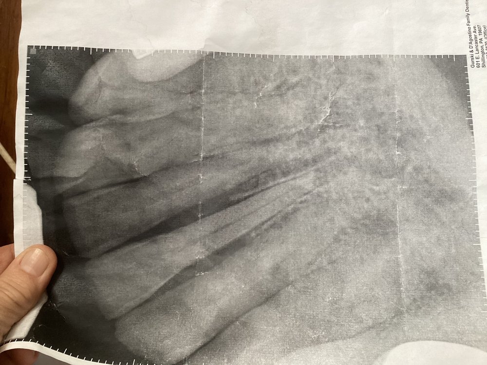 image of business Sinking Spring Family Dental
