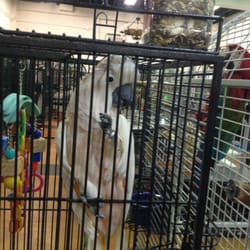the aviary bird shop bird shops 22400 old dixie hwy the aviary bird shop bird shops 22400 old dixie hwy