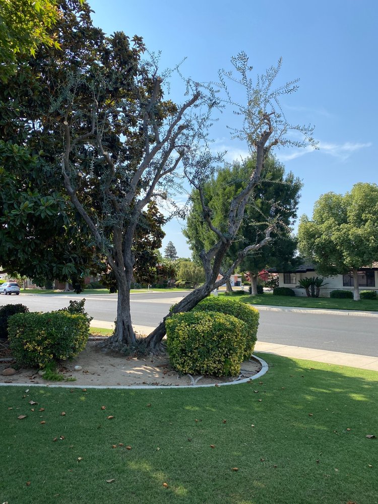 Innovative Tree Service