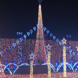 Christmas Miami 2019 Top 10 Best Christmas Lights Display in Miami, FL Last Updated Christmas Miami 2019 Top 10 Best Christmas Lights Display in Miami, FL Last Updated