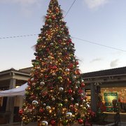 Del Monte Shopping Center - 51 Photos &amp; 104 Reviews - Shopping Centers