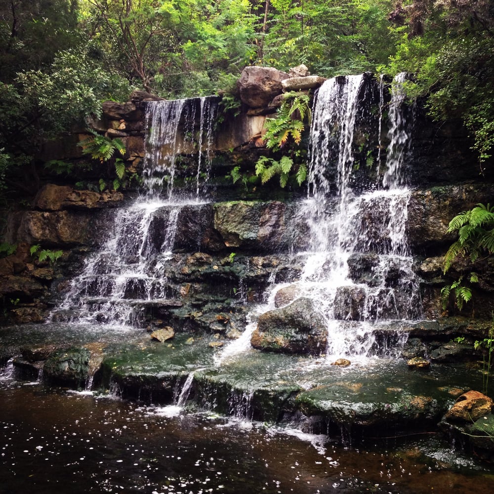 Zilker Botanical Gardens 516 Photos Botanical Garden 78704 (South