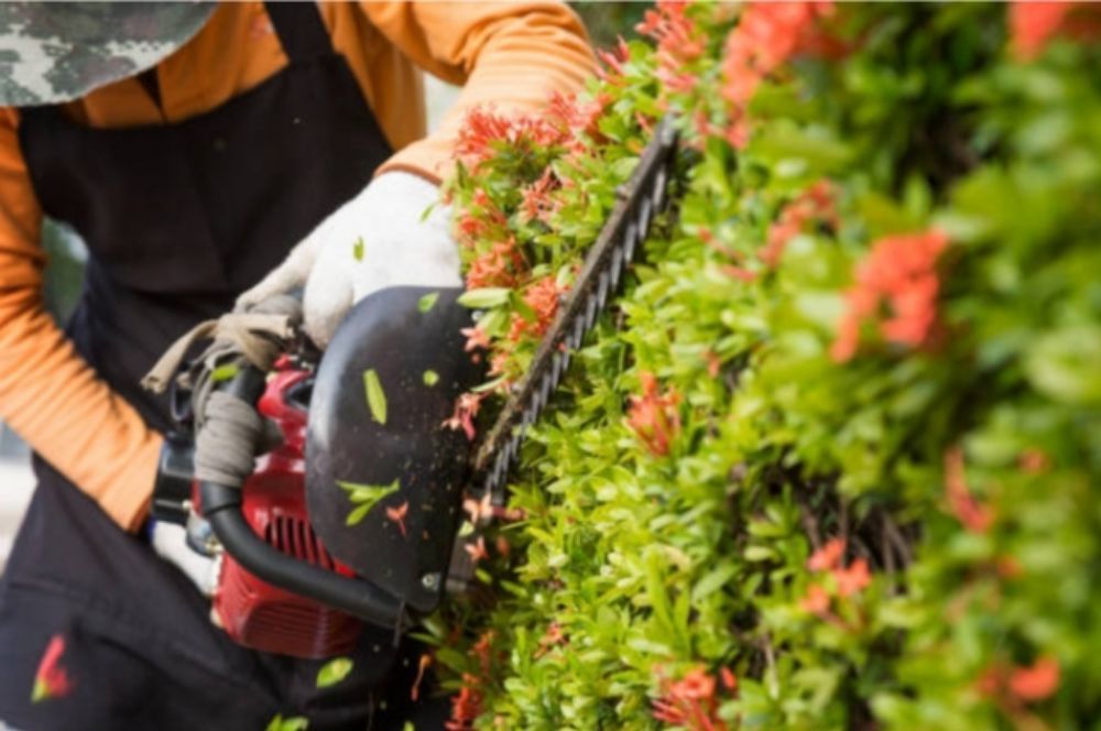 J an J Lawn and Home Maintenance