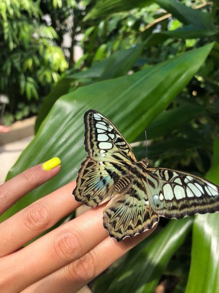 Philadelphia Insectarium & Butterfly Pavilion 101 Photos & 42 Reviews Children's Museums